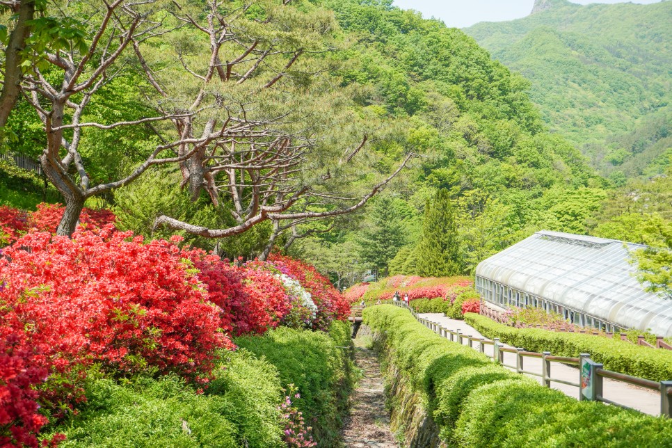 완주여행 완주대아수목원 & 봉강요 도자기체험 국내힐링여행지