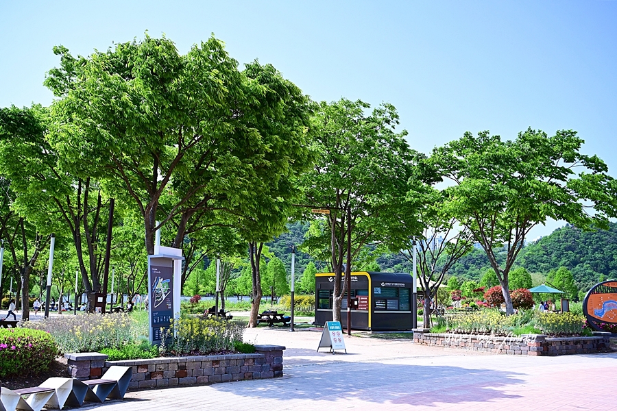 울산 여행코스 태화강국가정원 만남의광장 십리대숲 울산 은하수길 장생포 모노레일
