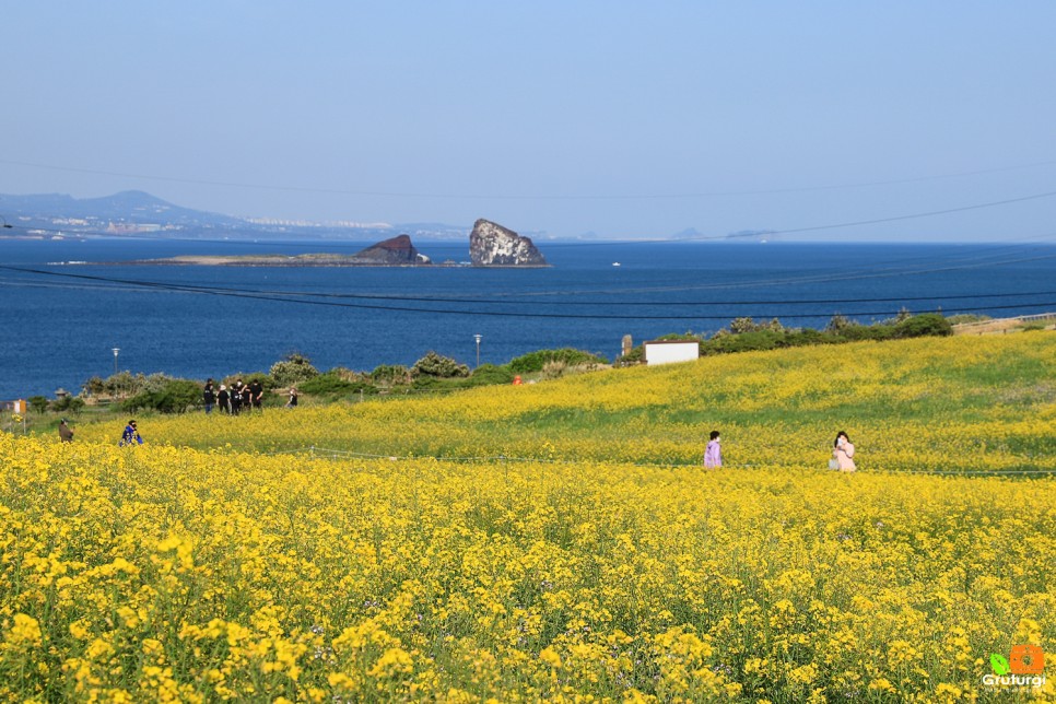 제주도 오름 제주 송악산 둘레길 제주 올레길 10코스