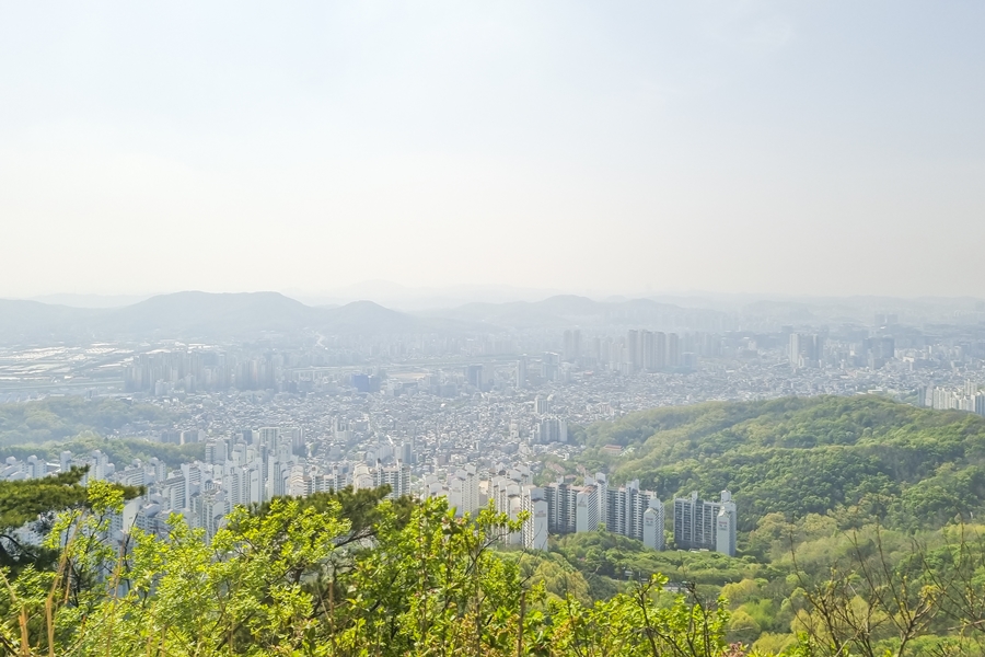 관악구 호암산 산책로, 갤럭시 S21 플러스 촬영