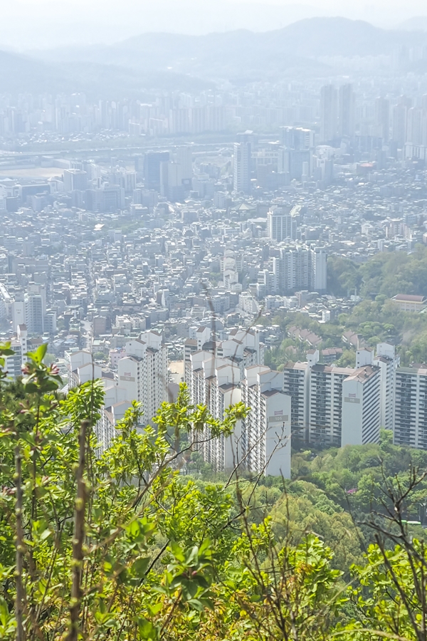 관악구 호암산 산책로, 갤럭시 S21 플러스 촬영