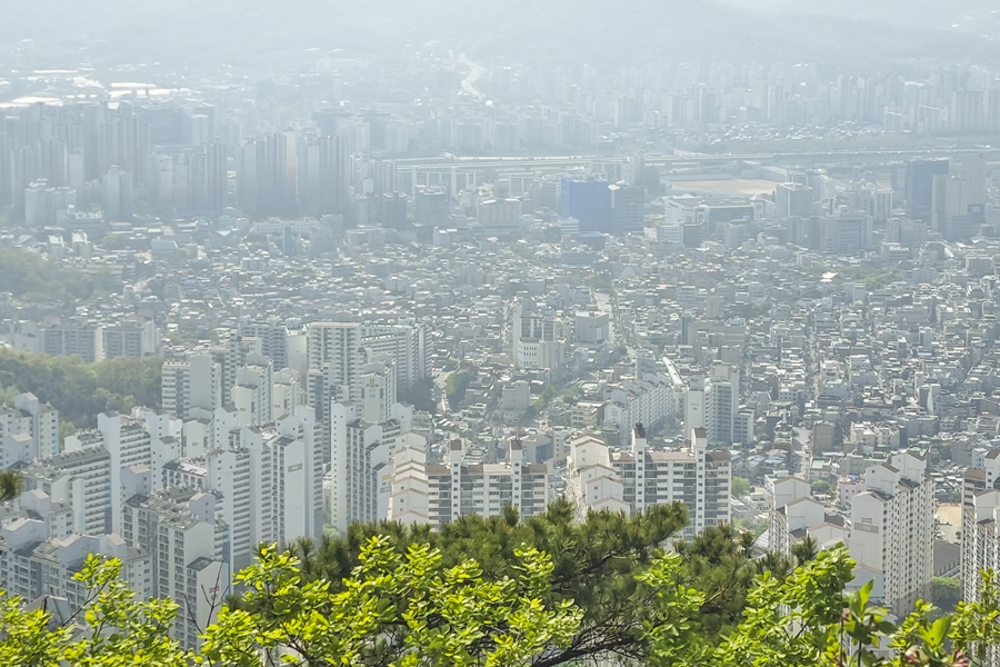 관악구 호암산 산책로, 갤럭시 S21 플러스 촬영