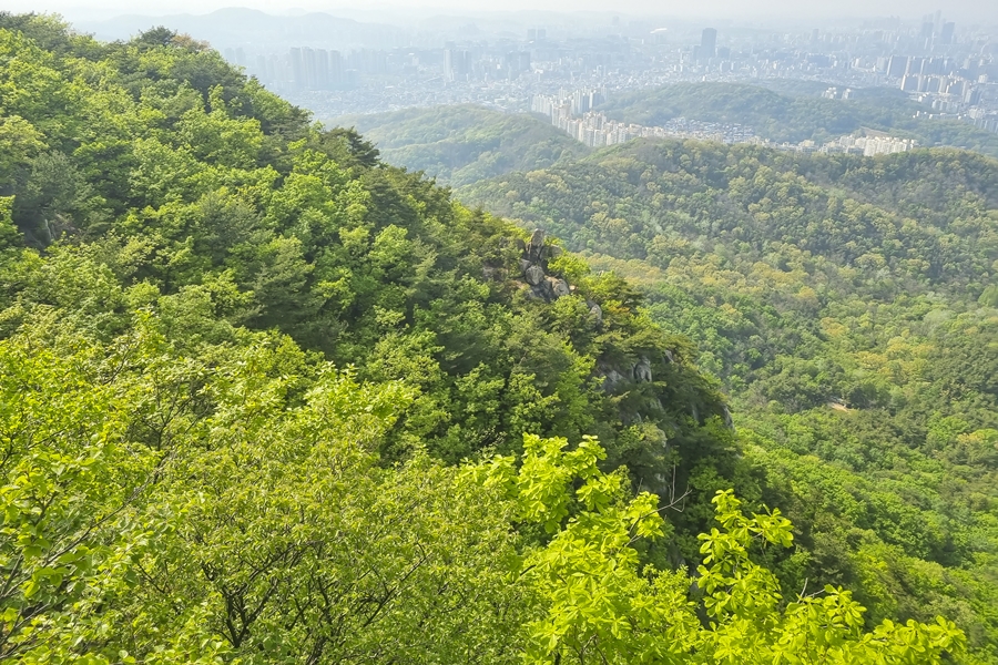 관악구 호암산 산책로, 갤럭시 S21 플러스 촬영