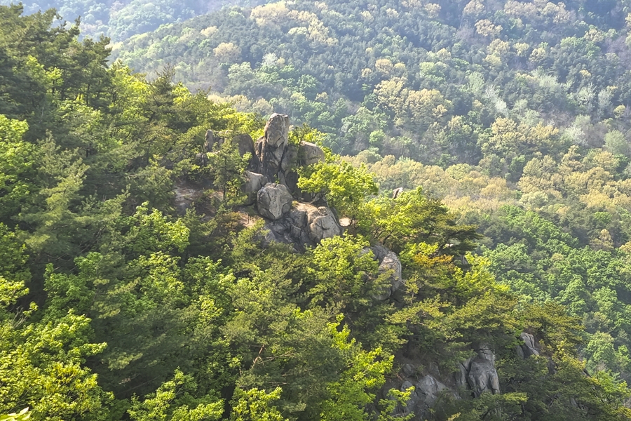 관악구 호암산 산책로, 갤럭시 S21 플러스 촬영