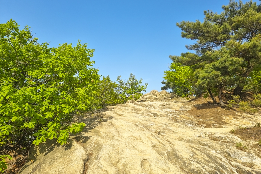 관악구 호암산 산책로, 갤럭시 S21 플러스 촬영