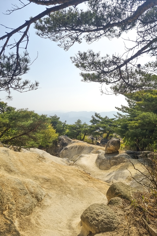 관악구 호암산 산책로, 갤럭시 S21 플러스 촬영