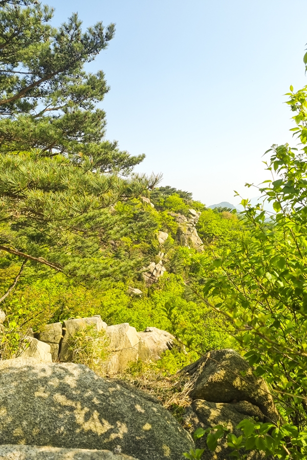 관악구 호암산 산책로, 갤럭시 S21 플러스 촬영