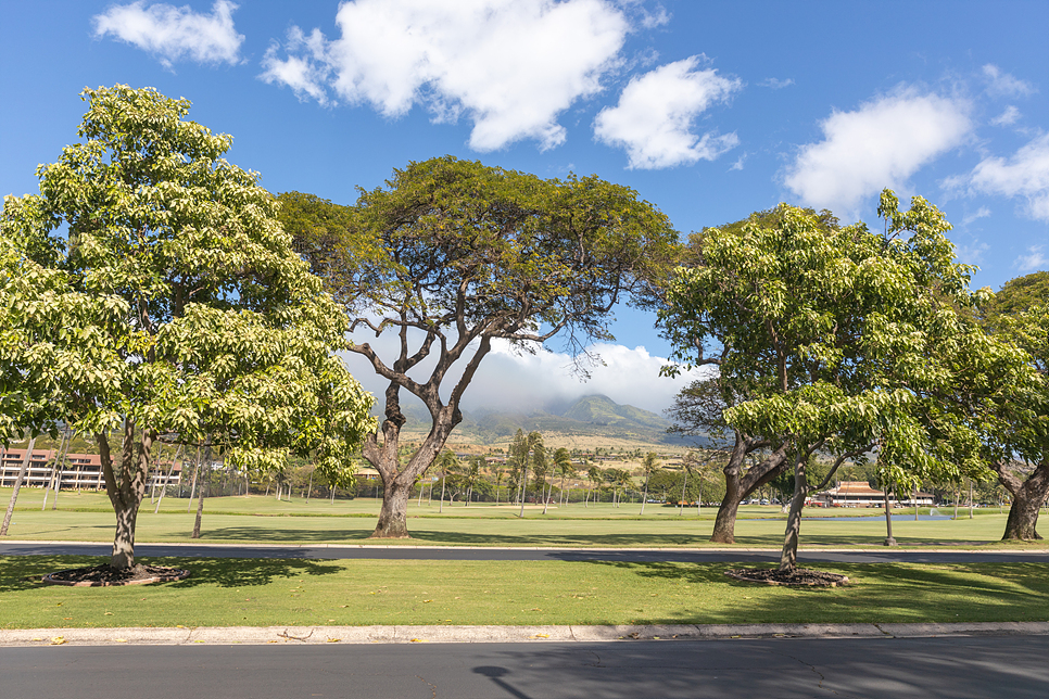 하와이 여행 코스 오아후에서 마우이 하와이안 항공과 렌트카 여행