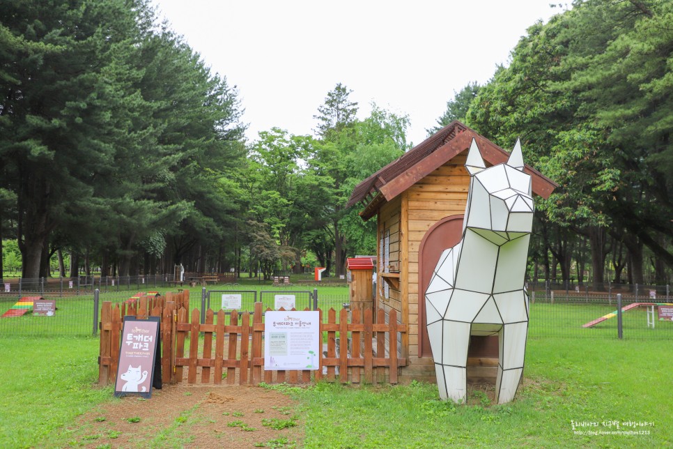 춘천 남이섬 여행 가볼만한곳 배 시간표 자전거 짚라인 애견동반 정보 총정리!