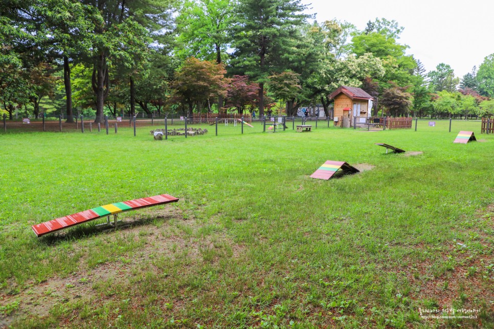 춘천 남이섬 여행 가볼만한곳 배 시간표 자전거 짚라인 애견동반 정보 총정리!