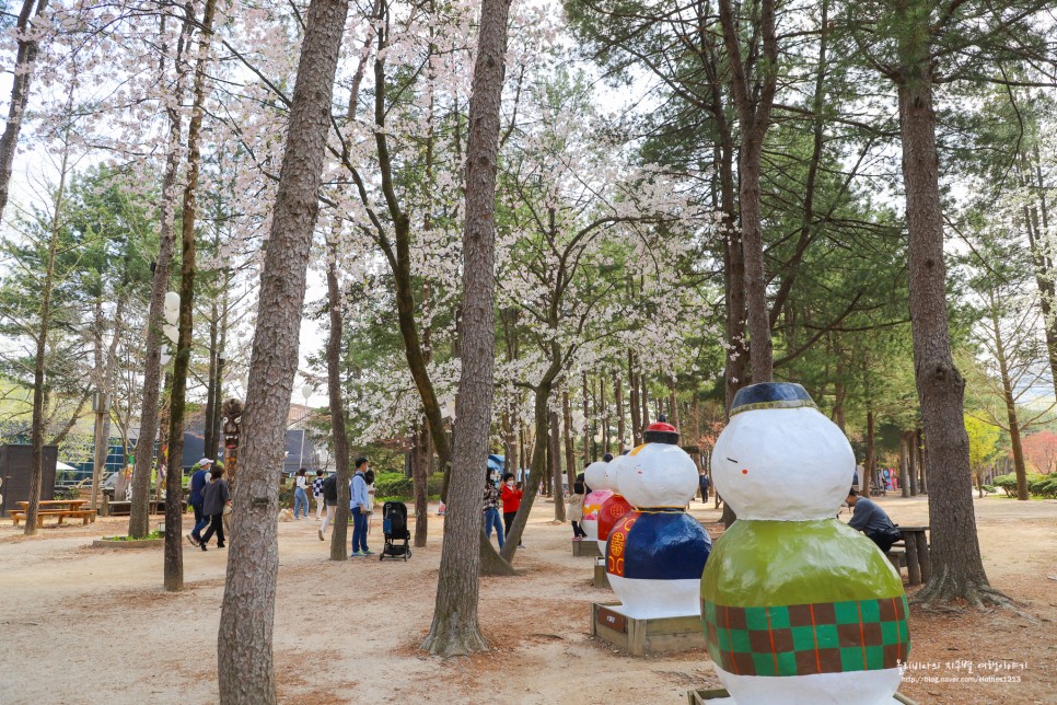 춘천 남이섬 여행 가볼만한곳 배 시간표 자전거 짚라인 애견동반 정보 총정리!