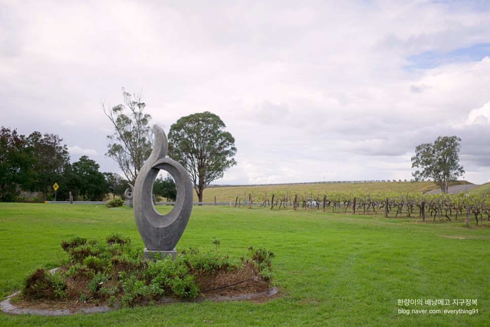 호주 와인 시드니 근교 여행 헌터밸리 와이너리 투어