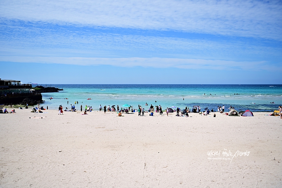 제주 동부여행 함덕서우봉해변 제주도 월정리해변 해수욕장 세화해변 등~