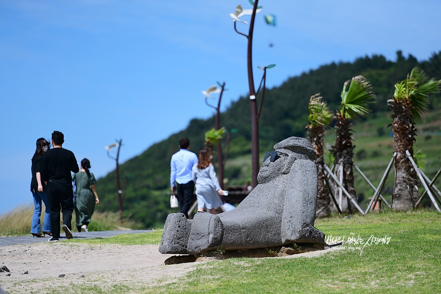 제주 동부여행 함덕서우봉해변 제주도 월정리해변 해수욕장 세화해변 등~