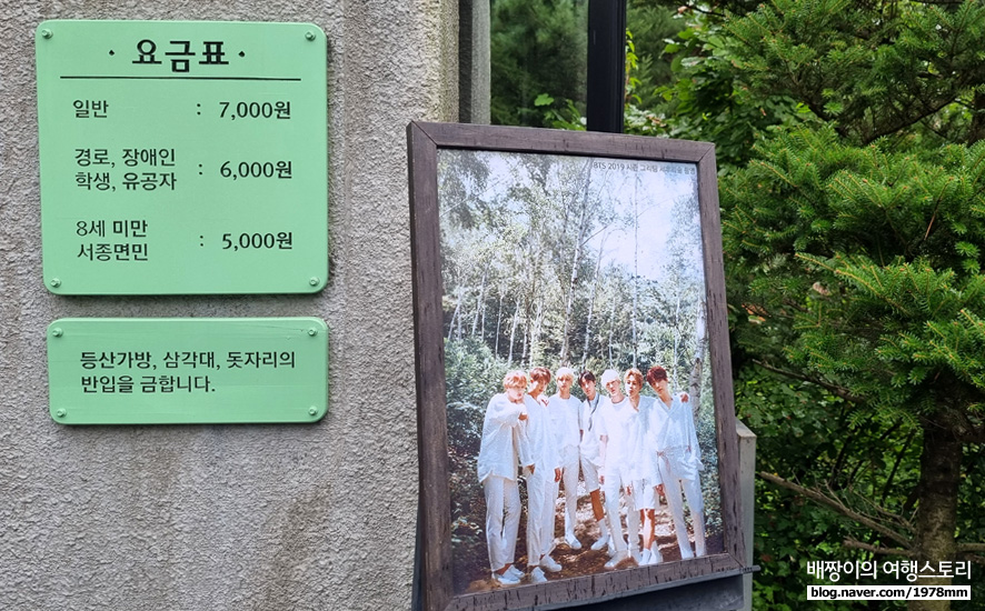 서울근교 주말 봄데이트 앙평 가볼만한곳3 서후리숲 세미원 카페무르
