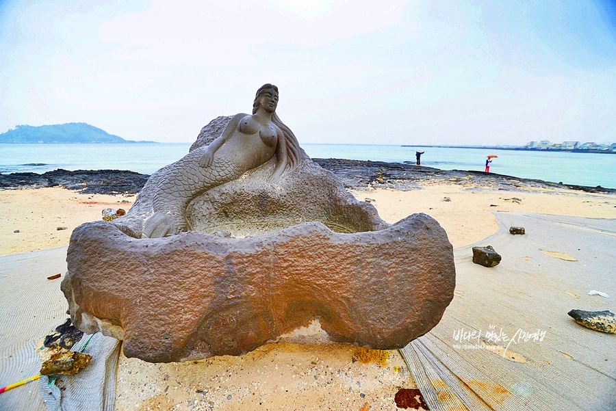 제주 서부여행 곽지과물해변 제주 금능해수욕장 제주도 협재 해수욕장 카페