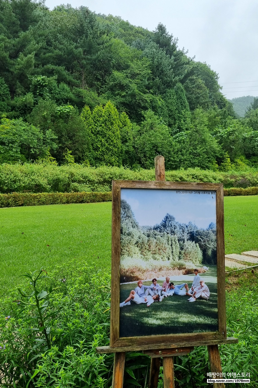 서울근교 주말 봄데이트 앙평 가볼만한곳3 서후리숲 세미원 카페무르