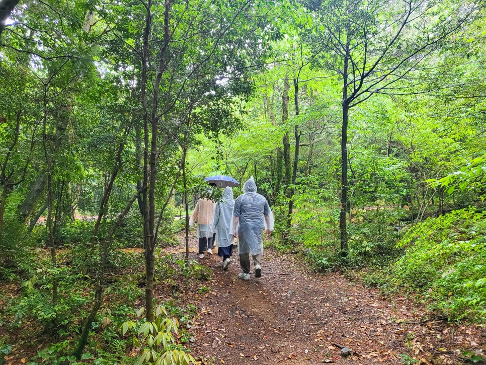 제주도 렌트카 추천 카모아 제주 렌트카 제주 서부여행 혼자여행