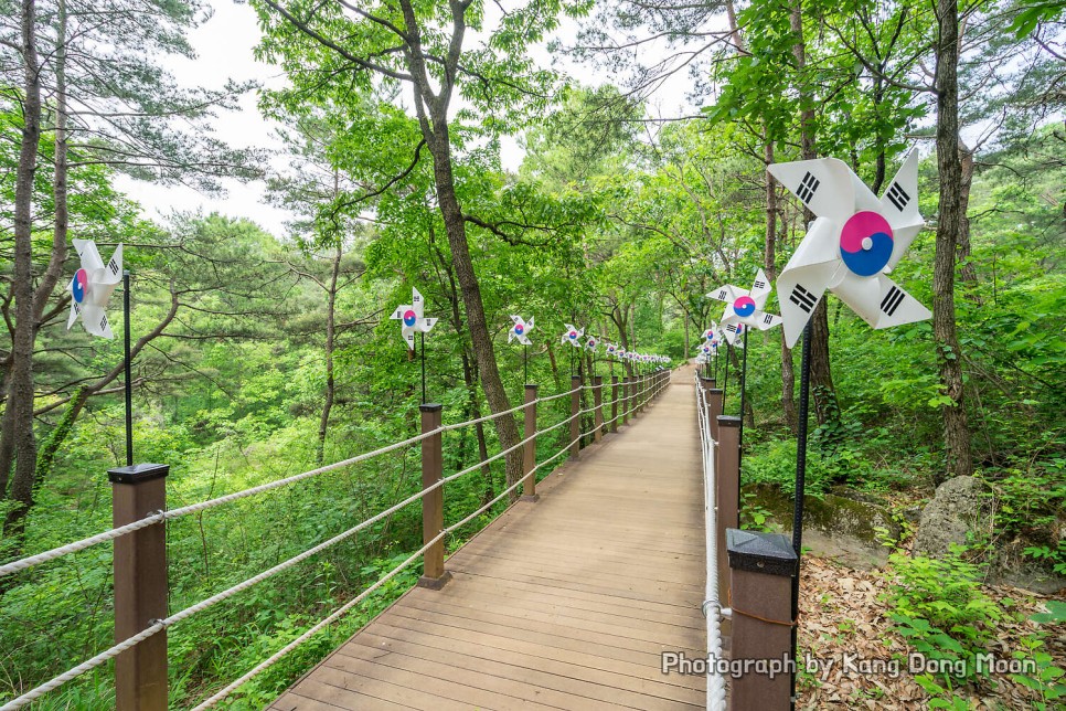 강원도 여행지 추천 우리나라 1박2일 여행 코스 강원도 가볼만한곳 영월 한반도지형