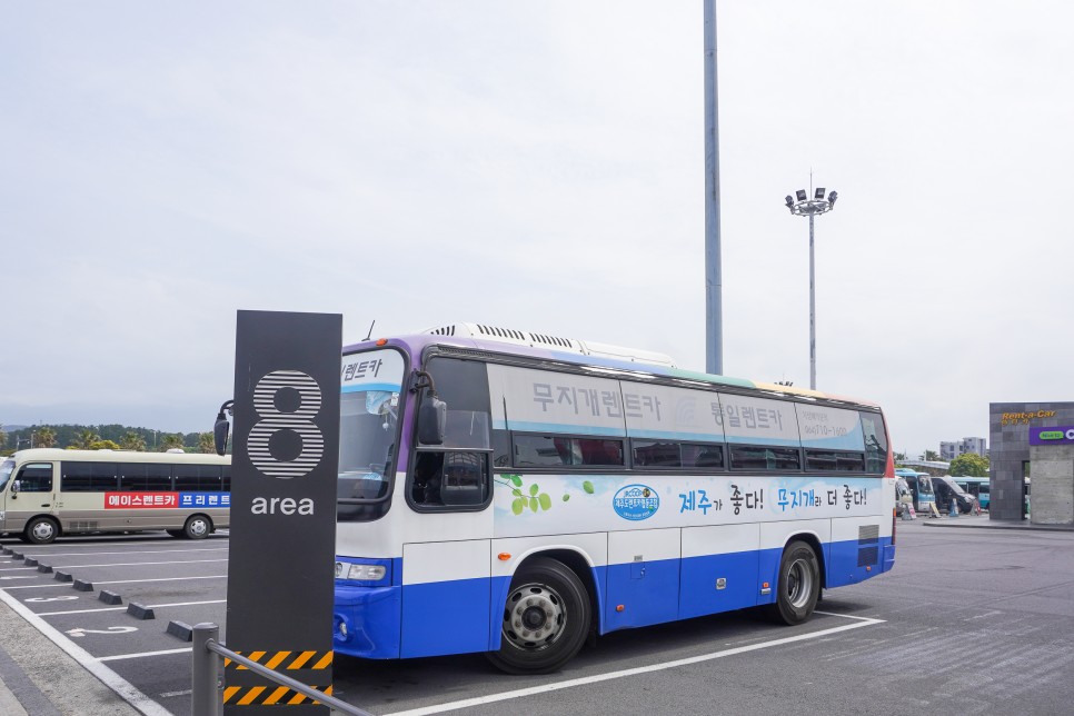 제주도 렌트카 추천 카모아 제주 렌트카 제주 서부여행 혼자여행