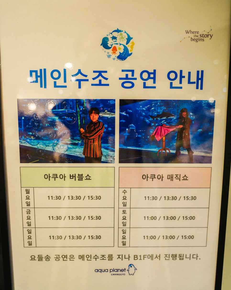 광교 아쿠아플라넷 수원 가볼만한곳 - 5월 할인 정보