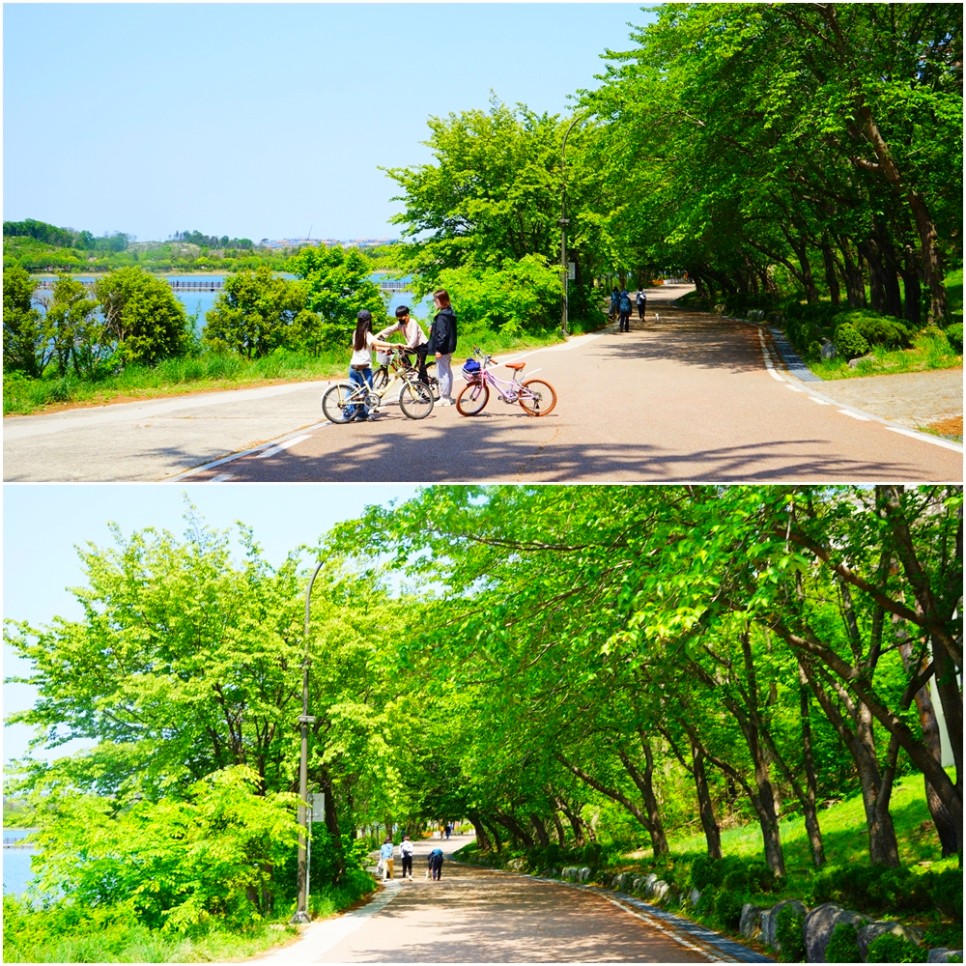 속초 여행 코스 영랑호 영금정 바다 속초중앙시장 볼거리 등