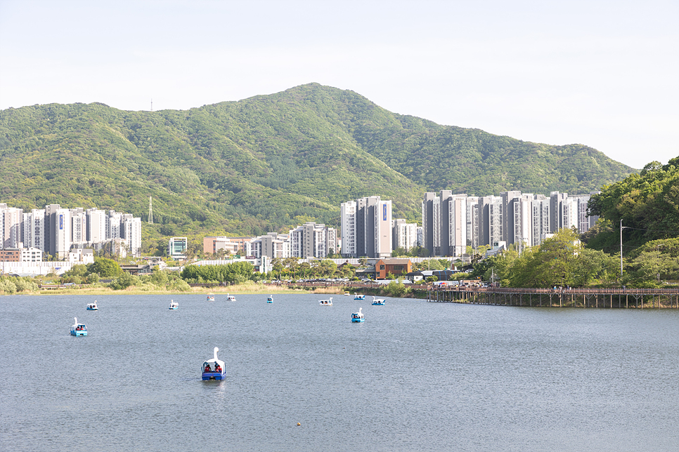 의왕 가볼만한곳 백운호수 둘레길 산책 오리배 서울근교 나들이