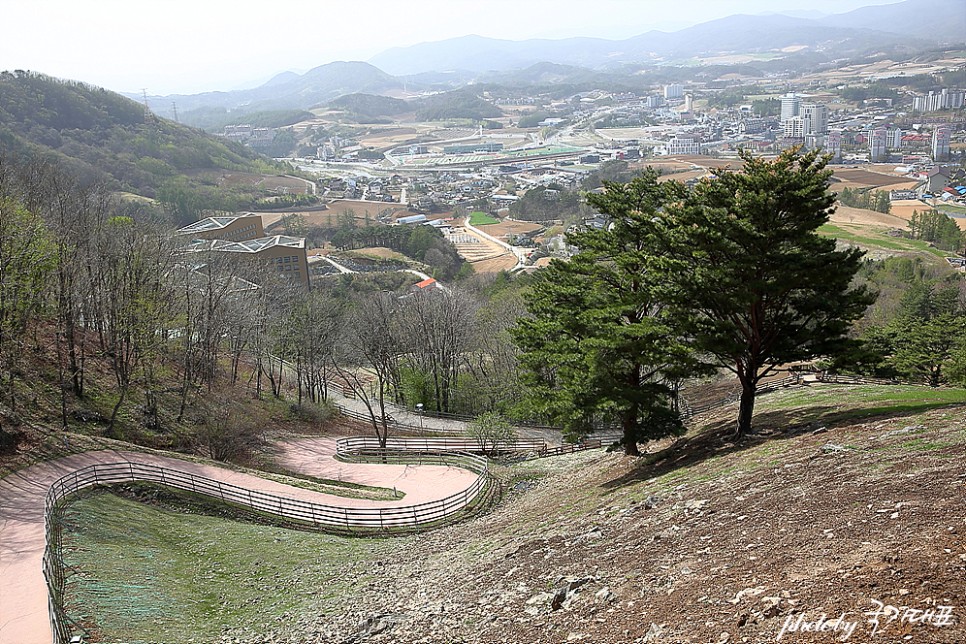 대관령 순수양떼목장 체험 강원도 한적한 여행지 국내 조용한 곳