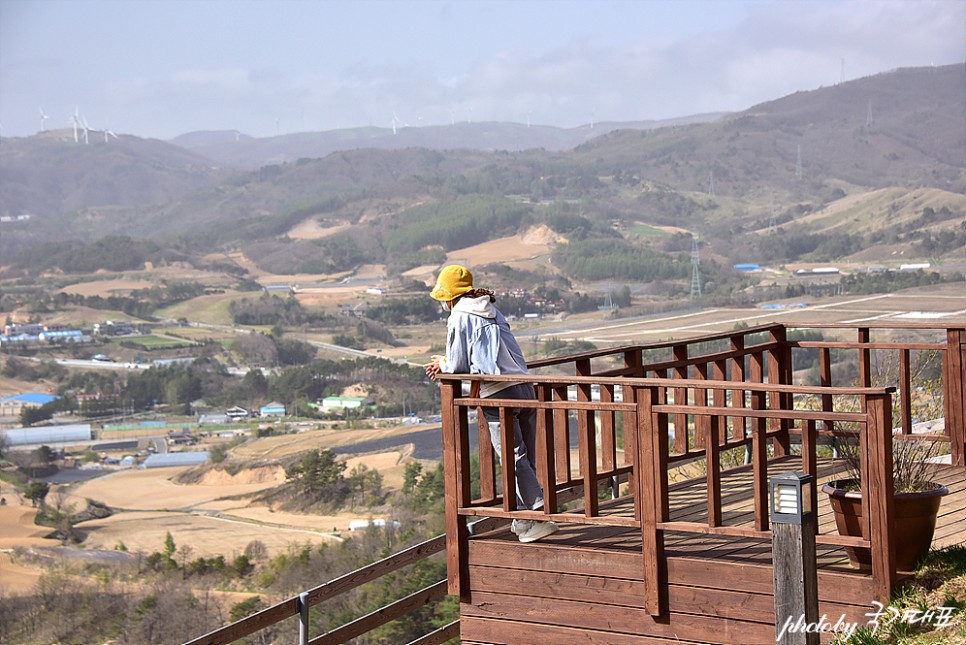 대관령 순수양떼목장 체험 강원도 한적한 여행지 국내 조용한 곳