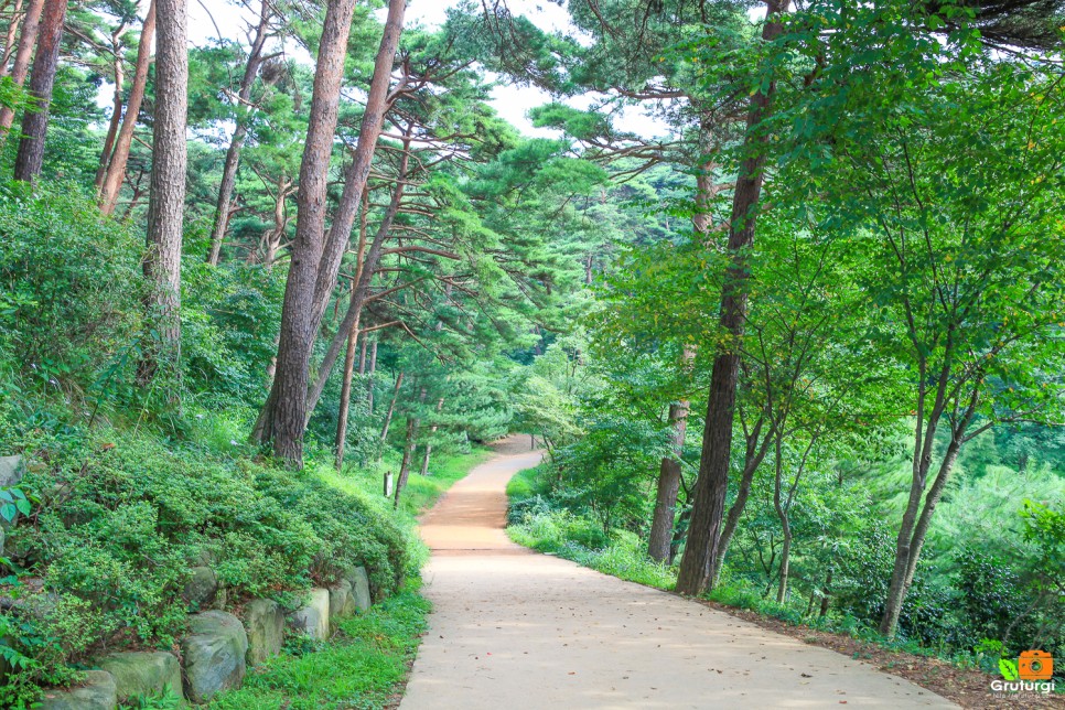 태안 안면도 가볼만한곳 서해안 서해 드라이브 여행코스