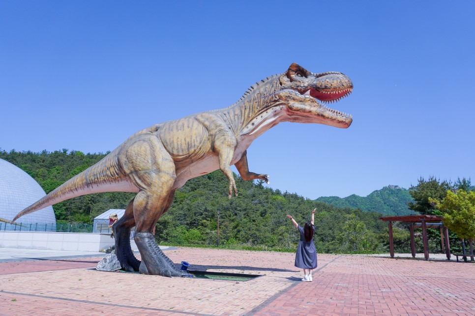 전남 보성가볼만한곳 율포해수욕장 비봉공룡공원 월곡영화골벽화마을 外 5곳