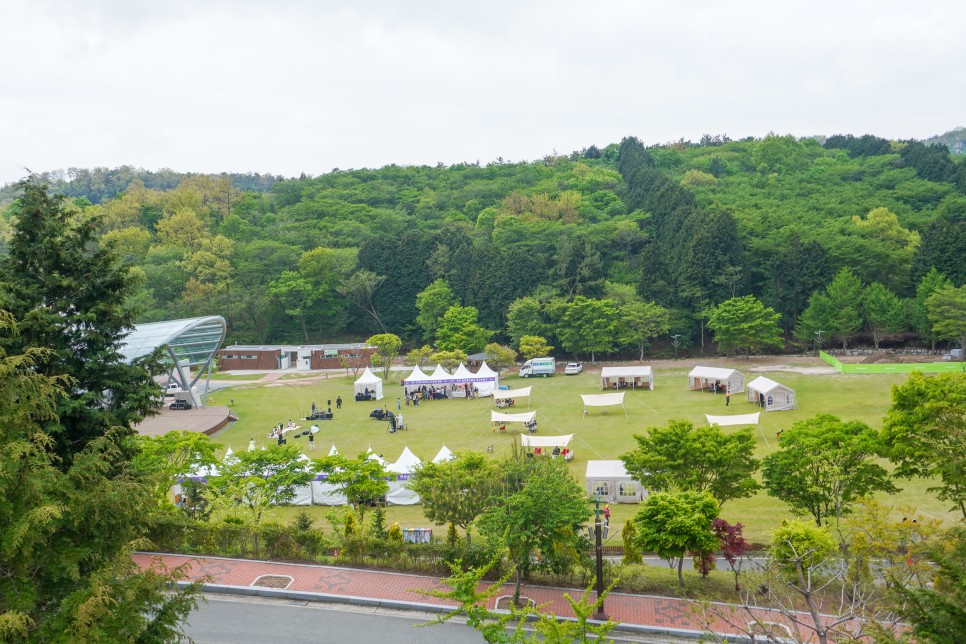 전남 보성가볼만한곳 율포해수욕장 비봉공룡공원 월곡영화골벽화마을 外 5곳