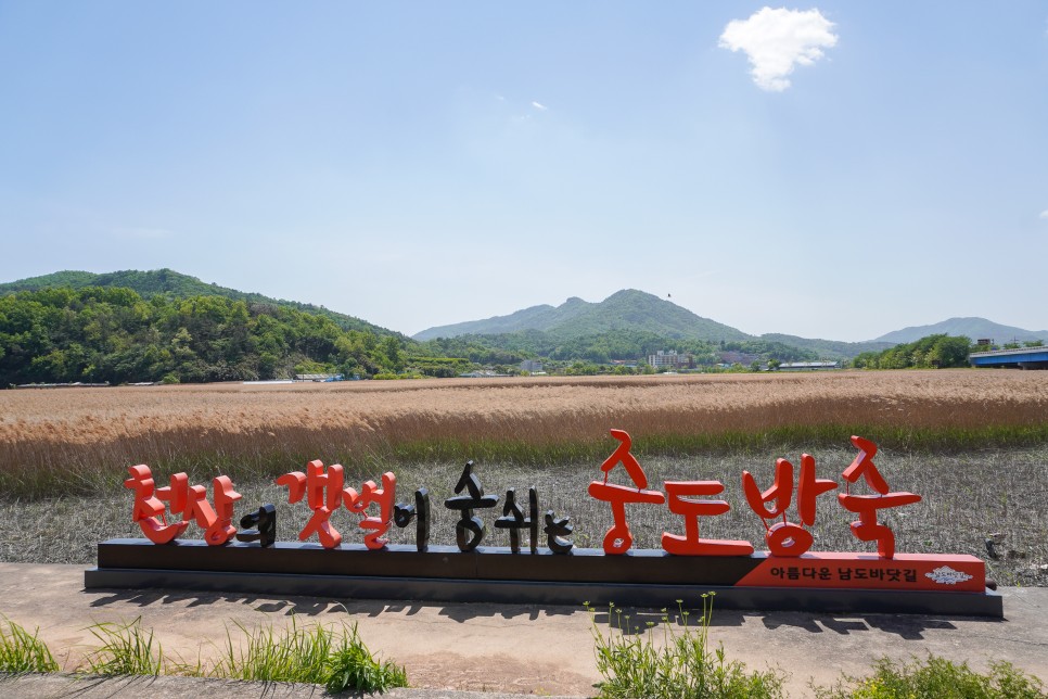 전남 보성가볼만한곳 율포해수욕장 비봉공룡공원 월곡영화골벽화마을 外 5곳