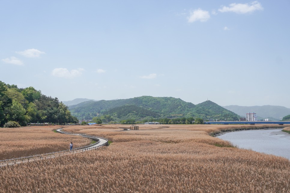 전남 보성가볼만한곳 율포해수욕장 비봉공룡공원 월곡영화골벽화마을 外 5곳