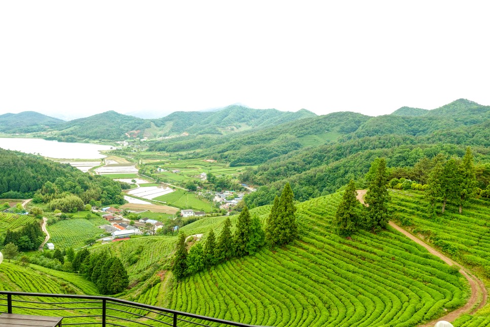 전남 보성가볼만한곳 율포해수욕장 비봉공룡공원 월곡영화골벽화마을 外 5곳