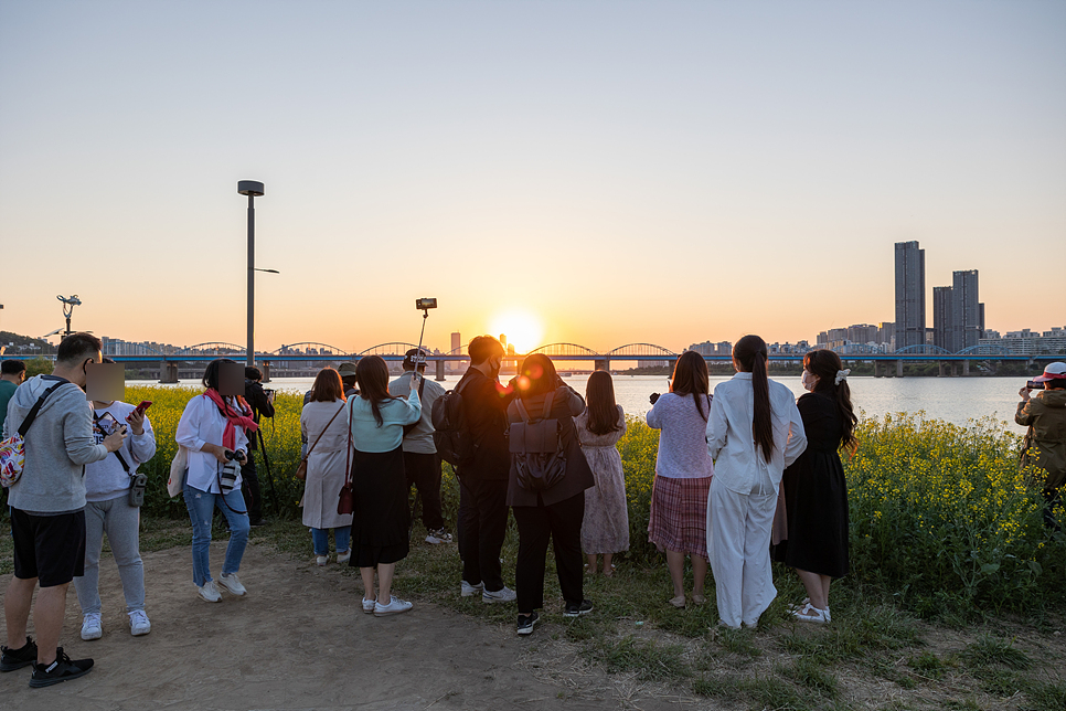 반포 서래섬 유채꽃 피크닉 서울 꽃구경 나들이 반포한강공원 분수