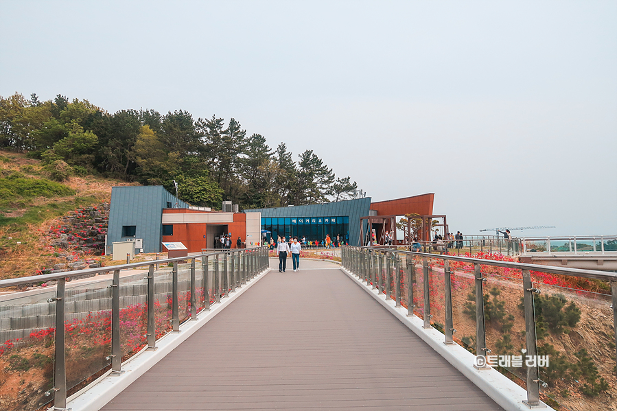 경남 남해여행 이색 바다 체험 남해 설리스카이워크 그네