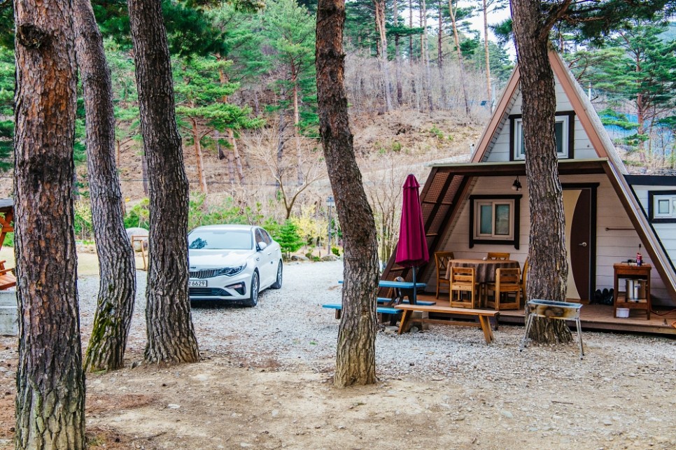 강원도 여름휴가로 추천하고 싶은 삼척펜션 포레스트, 에어비앤비에서 예약