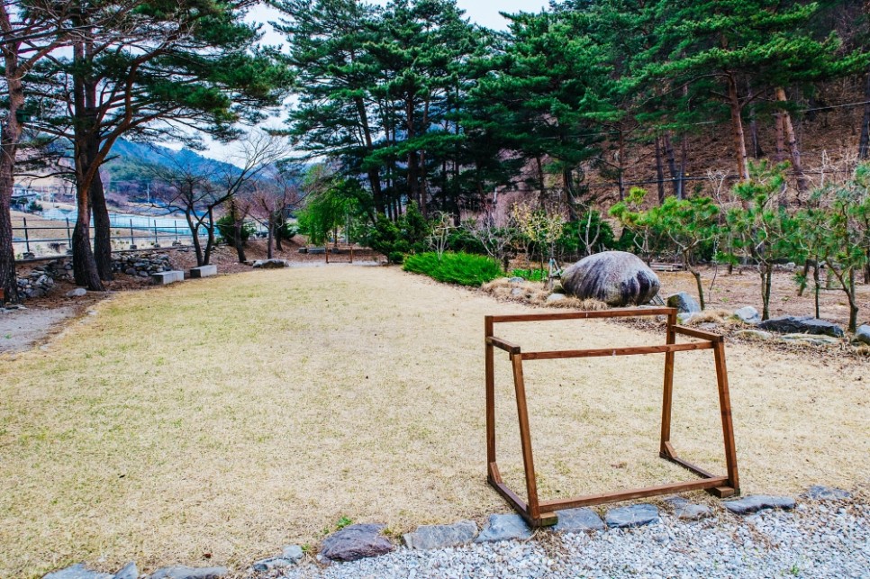 강원도 여름휴가로 추천하고 싶은 삼척펜션 포레스트, 에어비앤비에서 예약