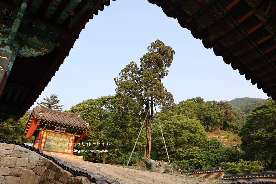 경기도 사찰 보광사 영조의 효심이 깃든 파주절