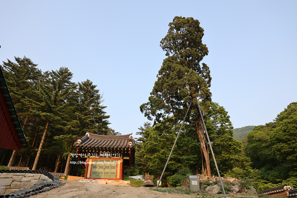 경기도 사찰 보광사 영조의 효심이 깃든 파주절