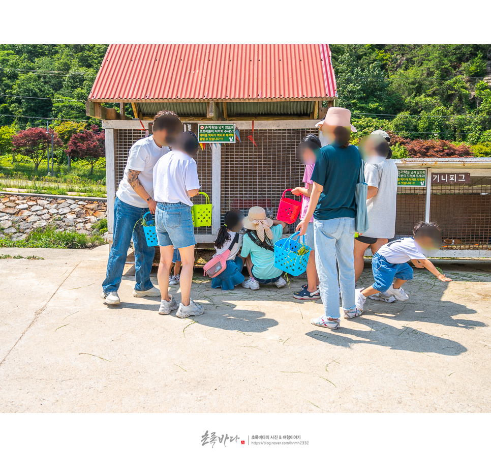 경남 아이와 가볼만한곳 볼거리 남해 양떼목장 동물체험