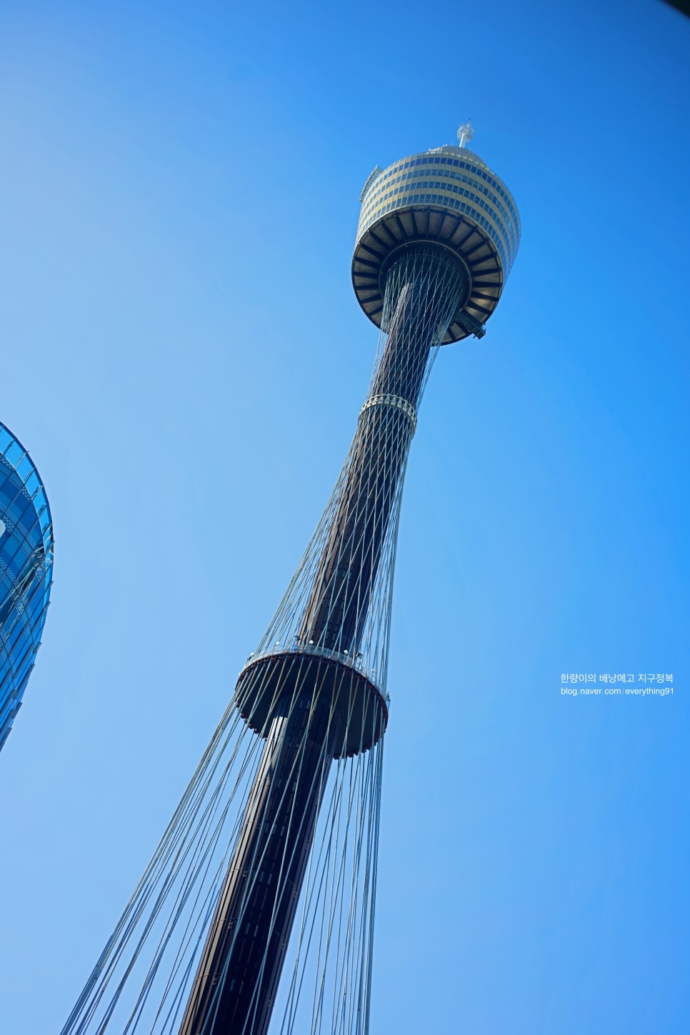 시드니 가볼만한곳 타워 전망대 아이 - 호주에서 두 번째로 높은 건물
