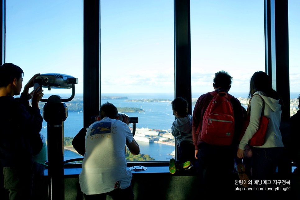 시드니 가볼만한곳 타워 전망대 아이 - 호주에서 두 번째로 높은 건물