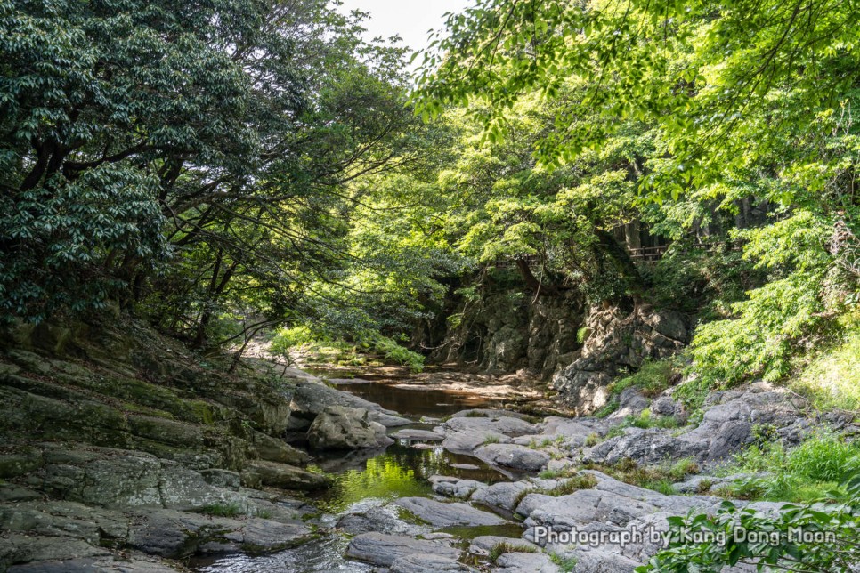 6월 제주도 가볼만한곳 제주 숨은 명소 제주도 가족여행 코스 서귀포관광지 안덕계곡