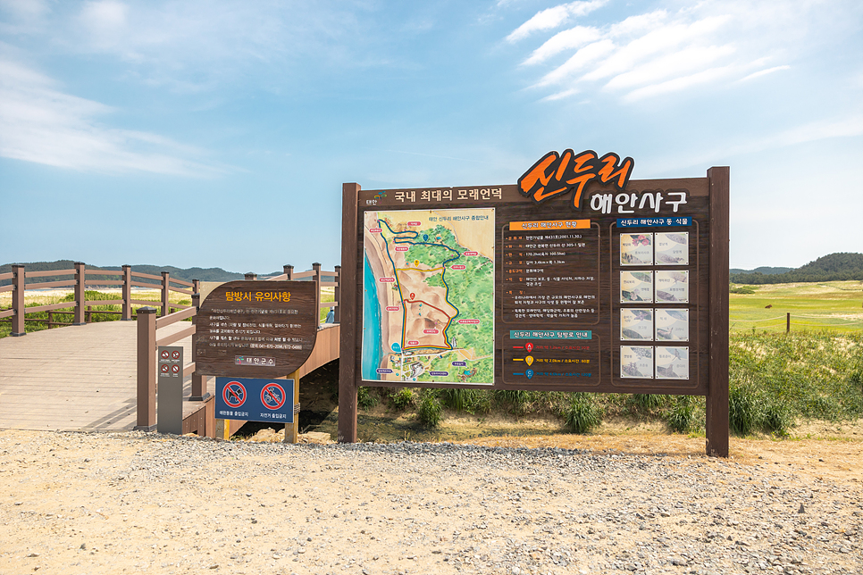 충남 태안 가볼만한곳 신두리 해안사구 해수욕장 천리포 수목원