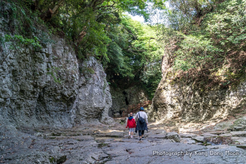 6월 제주도 가볼만한곳 제주 숨은 명소 제주도 가족여행 코스 서귀포관광지 안덕계곡