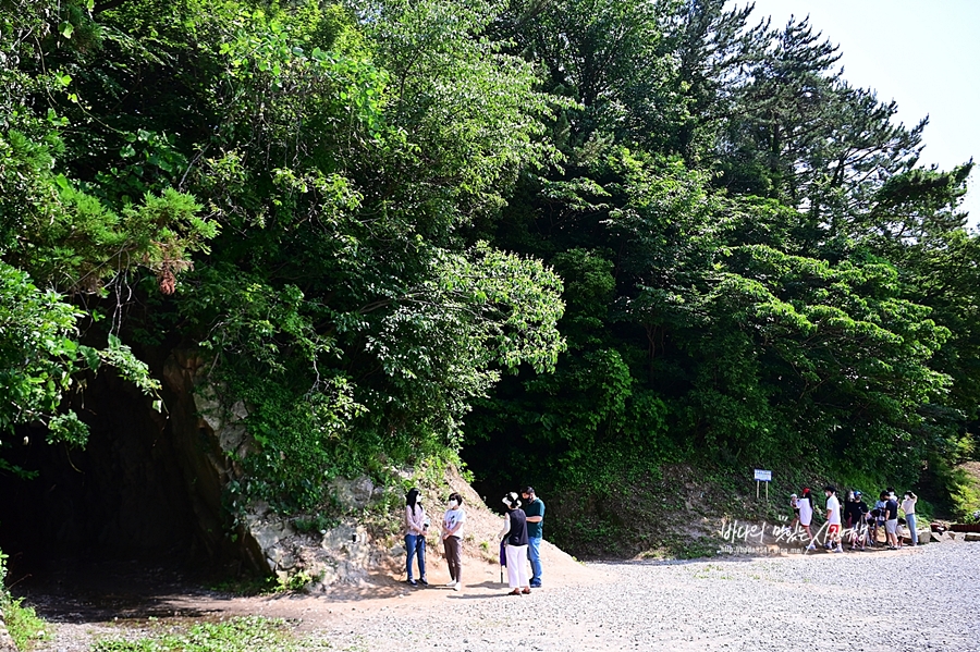 거제도 가볼만한곳 파노라마 케이블카 거제 식물원정글돔 정글타워