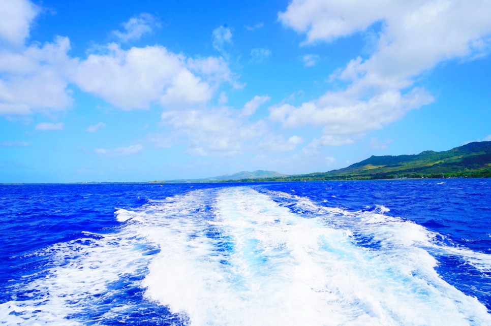 괌여행 액티비티 돌핀크루즈 예약, 투어 후기