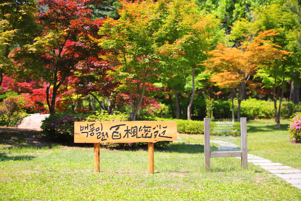 춘천 남이섬 가볼만한곳 with 입장료 배시간표 자전거 즐기기